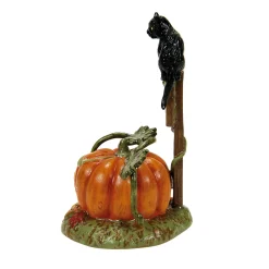 Department 56 Feline Noir Debut, 2024 Discount
