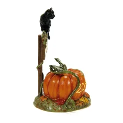 Department 56 Feline Noir Debut, 2024 Discount